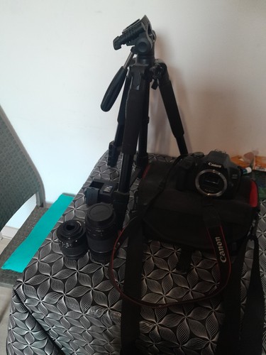 Canon eos 2000d mpix - 24,1,